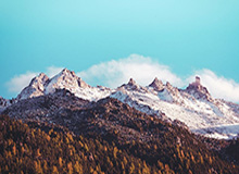 乐鱼官方网站：开启安全高效的娱乐新纪元