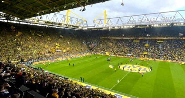 jiuyou-【德甲】罗伊斯伤退 穆科科破门 多特德比胜沙尔克